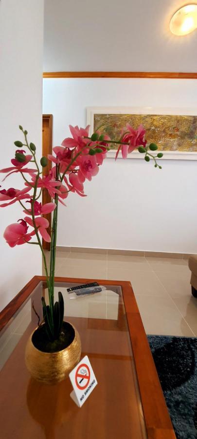 Le Chant De Merle Self -Catering Studios And Apartments Mahe Island Buitenkant foto