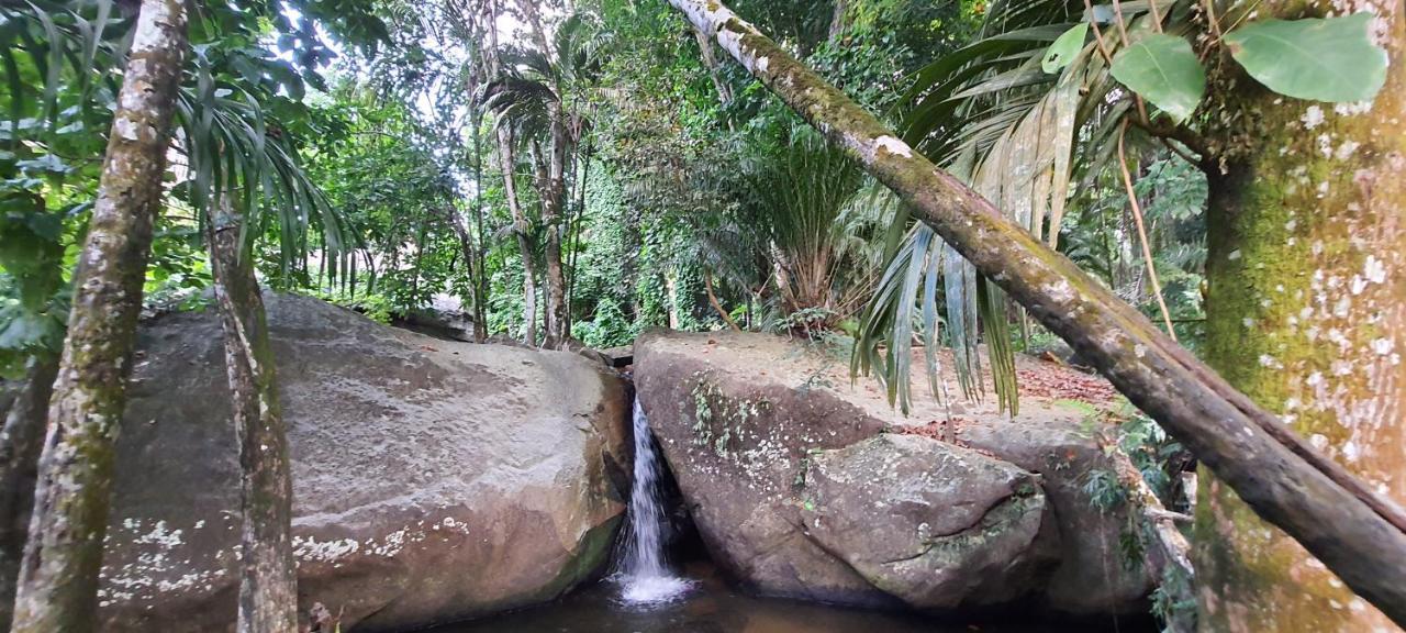 Le Chant De Merle Self -Catering Studios And Apartments Mahe Island Buitenkant foto